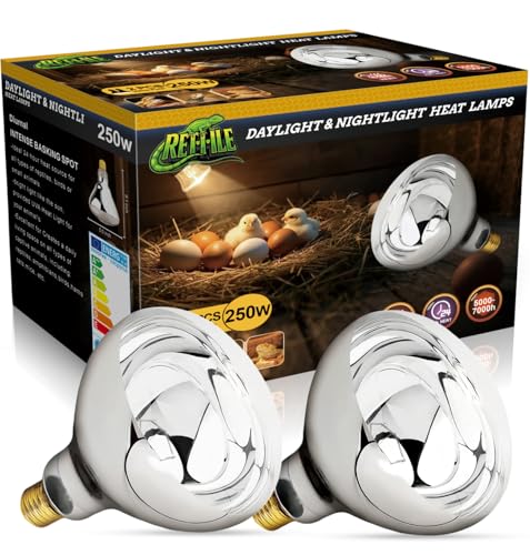 MISDOOD 250W Heat Lamp Clear Infrared Bulbs Flood Light Heat Lamp Bulb for Food Service Brooder Bulb Chicks Pet Bathroom Light Therapy Use Glass 2 Pack