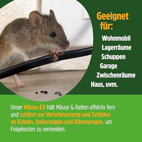 Mäuse Ex Spray zur Mäuseabwehr & Rattenabwehr, 500 ml Mäuseschreck gegen Mäuse & Ratten, Abwehrmittel für Haus, Dachboden, Garten & Outdoor, Mäusespray zum Vertreiben und als Abschreckung