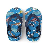 The Children's Place boys Baby Boys and Toddler Everyday Flip Flops With Backstrap