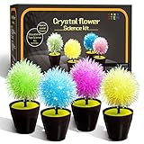 Science Kits for Kids Age 8-12,Crystal Growing Kit t-Crystals Grow Fast in 24 Hours,STEM Projects...