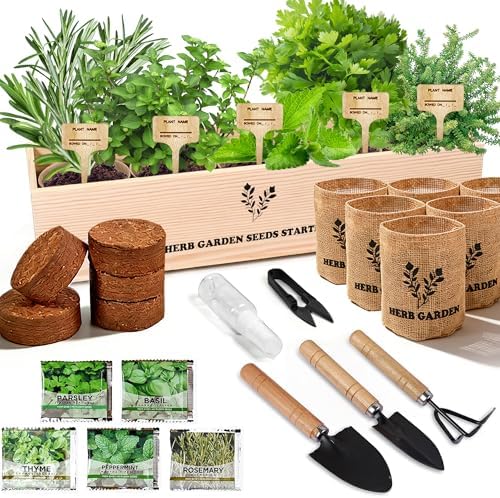 Indoor Herb Garden Starter Kit, 5 Seeds Growing into Basil, Parsl...