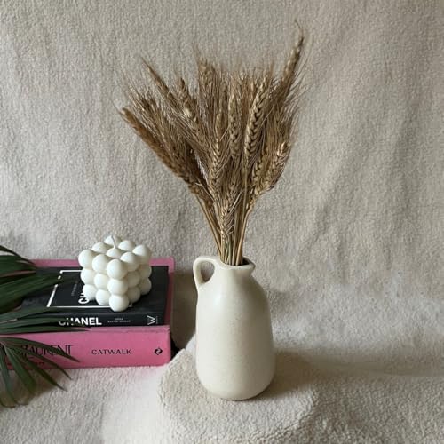 Image of Bliss Hohm Jug Ceramic Flower Vase for Home Decor and Gifting, Bottle Flower Vases for Living Room & Office Decor, Desk Decorative Items, Showpieces, Off-White