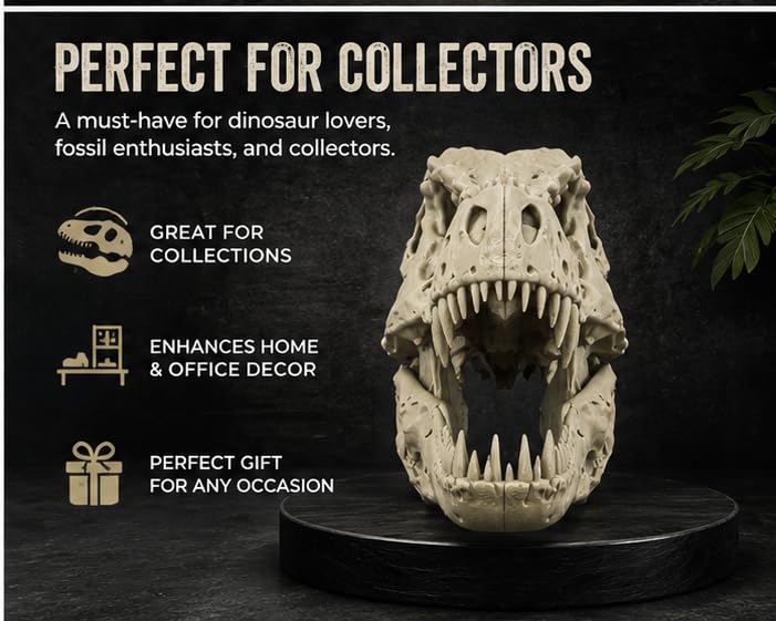 Image of 3D Printed T-Rex Dinosaur Skull Replica | Highly Detailed Tyrannosaurus Rex Fossil Model | Articulated Jaw | Desk & Shelf Decor | Paleontology Gift for Dino Lovers, Collectors & Home Display