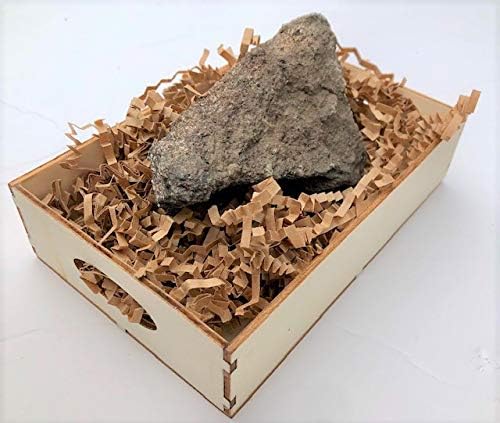 DINOSAURS ROCK® Dinosaur Bone - Genuine Fossil - Gift Boxed! 4"-6"