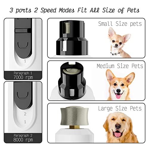 KK-Dog-Nail-Grinder-with-2-LED-Light-for-Large-Medium-Small-Dogs-Professional-2-Speed-Powerful-Electric-pet-Nail-Clipper-which-Gentle-and-Painless-Paws-Grooming-Smoothing-Tool-White 51tmkn8frNL