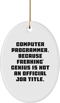 Computer Programmer Oval Ornament | Funny Gifts for Computer Programmers | Unique Christmas Unique Gifts from Santa to Computer Science Students