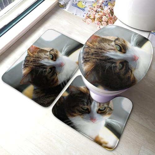 gC}bg Zbg 3_   ˂ L }bg gCWJo[ U^ O^ gC}bg Zbg ~ z  h ֊ӂJo[ ƒp zep