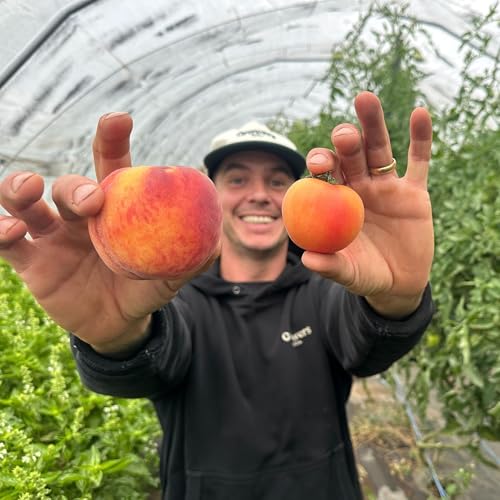 &ldquo;Lower the noise&rdquo; on the farm with detailed planning and systems with Luke Sheldrick of Terramor Farm in Ontario