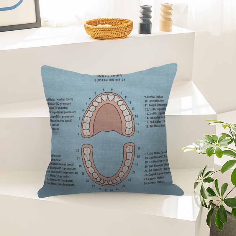 Image of Throw Pillow Covers Pink Education Tooth Chart Number Infographic on Blue Dental Human Anatomy Pillow Case 18x18 Inch Cushion Cover for Home Party