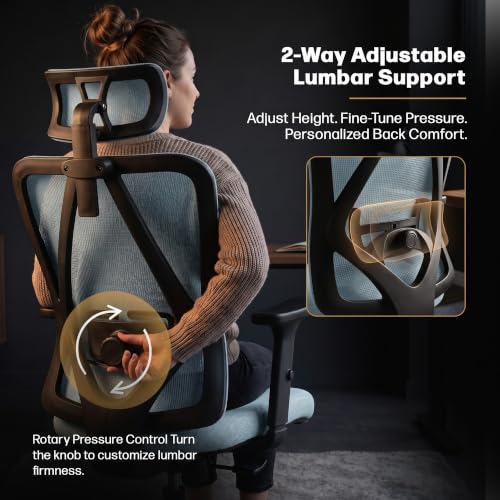 Image of DROGO Ergonaut Ergonomic Office Chair for Work from Home | Computer Chair with 2D Headrest, Armrests & Adjustable Lumbar Support | Breathable Mesh with 120 Recline, 1-Year Warranty (Blue & Blue)