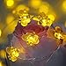 Impress Life Honey Bee Fairy String Lights, 10 Foot 40 LED, USB & Battery Operated 8 Modes with Remote Control for Wedding, Party, Festival, Indoor, Outdoor Decoration