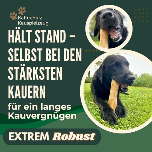 DENIPET® Kaffeeholz für Hunde & Welpen - Kauholz für Hunde, nachhaltiges Kauspielzeug Hund, robuster Kauknochen zur Zahnpflege, Hundespielzeug und Beschäftigung, Ideal als Welpenspielzeug, Größe M