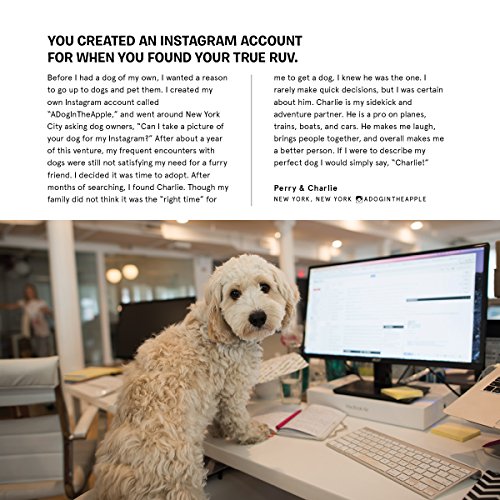 Dogs and Their People: Photos and Stories of Life