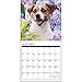 Just Jack Russells 2017 Calendar