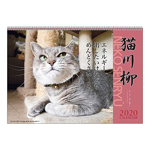 最安値 アートプリントジャパン 年 猫川柳 週めくり カレンダー Vol 006 の価格比較