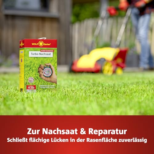 WOLF-Garten Turbo-Nachsaat zur Rasensanierung LR120 (für 120 m2, hohe Dichte mit ca. 70.000 Trieben/m2, für alle Rasentypen geeignet, mit WOLF-Garten Keimgarantie, im 2,4kg Karton) 3826042
