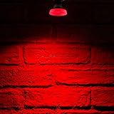 led taschenlampe rotlicht Nennlebensdauer von ca. 25 Jahren bei einer Nutzung von 4 Stunden täglich (35.000 Stunden), kein ständiges Auswechseln von Leuchtmitteln mehr!