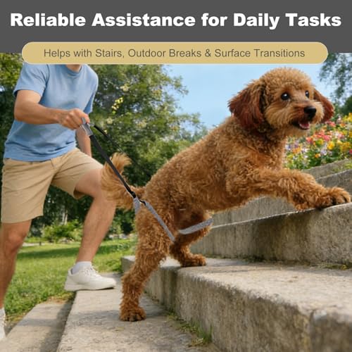 Image of NIIIYTYB Sling for Dogs Back Legs Rear Support Harness for Paralyzed or Handicapped Pets Assistance Lift Slings for Hind Leg Mobility Small Dog Handicap Supplies for Joint Injuries and Stability Black