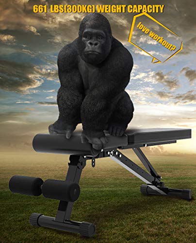 Weight Bench Heavy Duty Adjustable Roman Chair bar set press marcy olympic cap strength standard lb