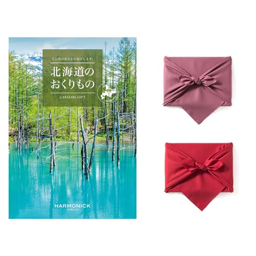 kĈ J^OMtg HDO-PR[X yC~݁z ԐFinj