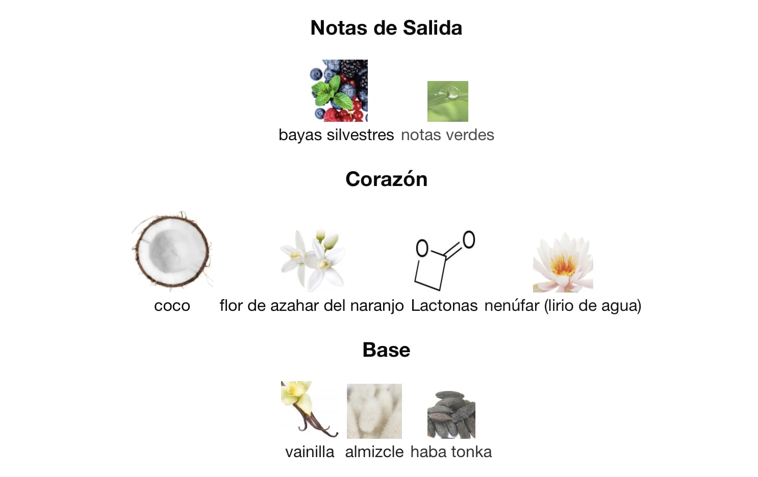 Perfume Island Bliss Eau de Parfum 100 ml, Perfume Árabe para Mujer de Larga Duración, Incluye Atomizador Recargable 5ML, Fragancia Tropical con Notas de Coco, Vainilla y Flor de Azahar (Island Bliss)