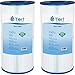 Tier1 Pool & Spa Filter Cartridge 2-pk | Replacement for Hayward C2025, SwimClear C2020, C2025, Filbur FC-1235, Pleatco PA50SV, Unicel C-7447 and More | 50 sq ft Pleated Fabric Filter Media