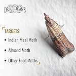 Dr. Killigan's Premium Double Potent Pantry Moth Traps with Pheromones Prime, Sticky Indian Meal Moth Traps for Kitchen, How to Get Rid of Moths in House (6 Pack, Black) - Image 4