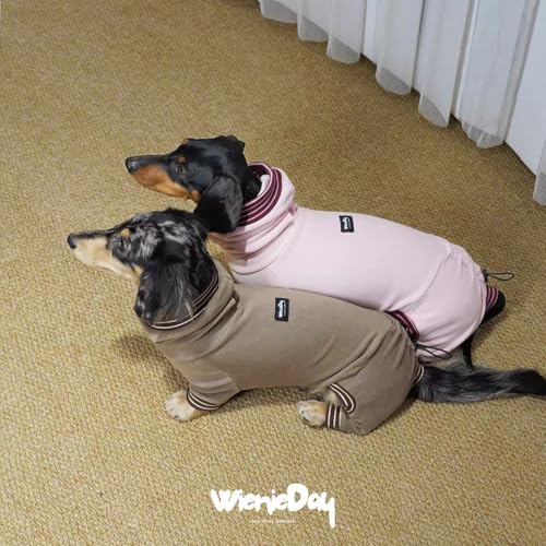 Disfraz para perro Dachshund cuello alto polar, Small miniatura 4