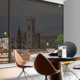 Yoolax Persiana Solar motorizada, Transparentes para Ventanas (Negro)