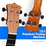Enya Concert Ukulele EUC-25D 23 Haut de l'acajou solide de pouce - Kit débutant avec Gig Bag, Capo, Strap & Choisir - Qualité sonore professionnelle pour les débutants & Cadeau (couleur naturelle)