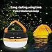 2 Pack LED Camping Lantern ,Portable Tent Light with Retractable Hook and 5 Light Modes,Best for Adults and Kids