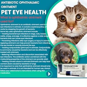   Otto-Tech-Pet-Eye-Health-Ointment-for-Dogs-Cats-Cattle-Sheep-Horse-Bird-18-oz-35gr-1-tube