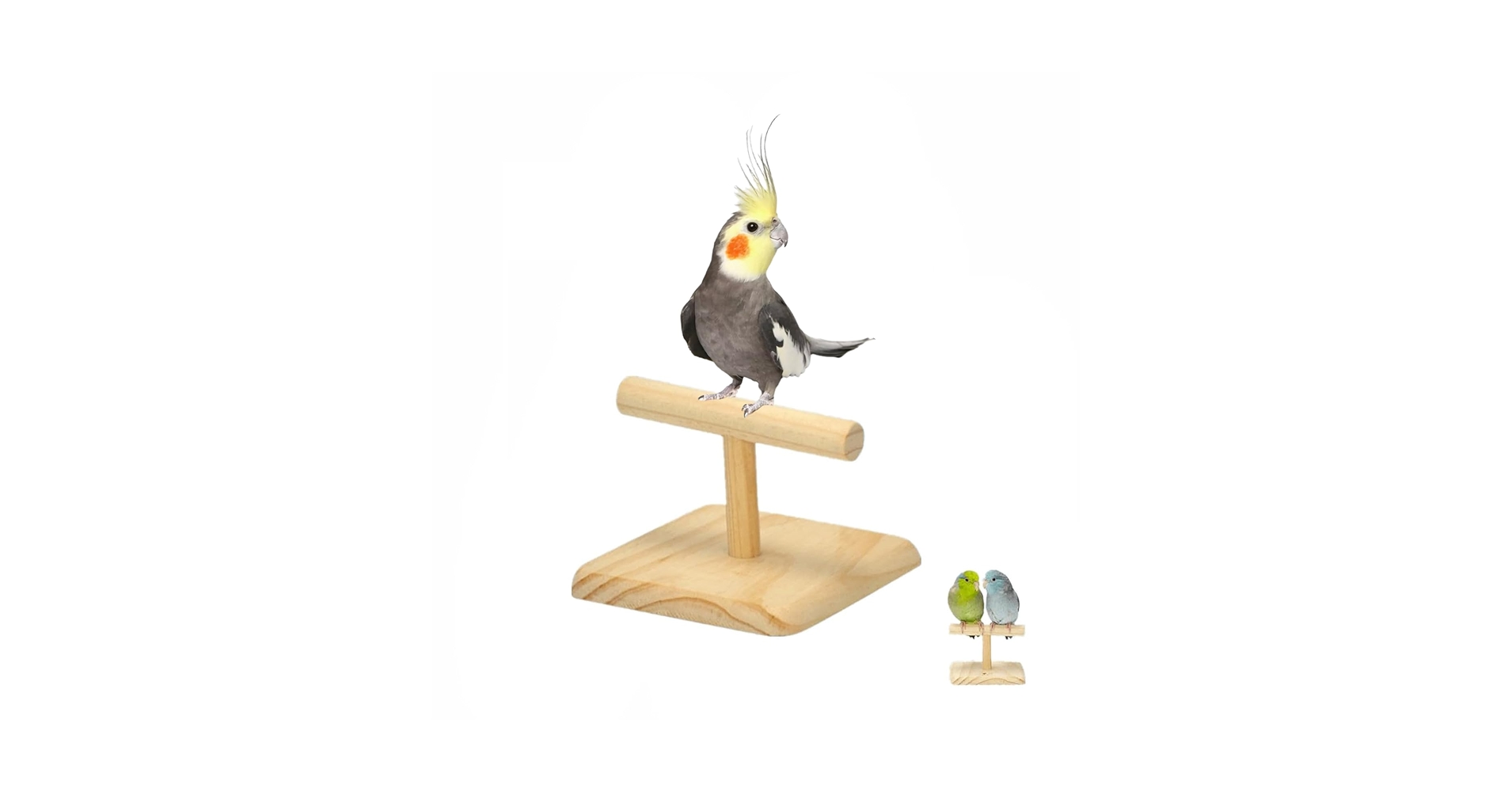 51tnSIxQaiL.jpg_BO30,255,255,