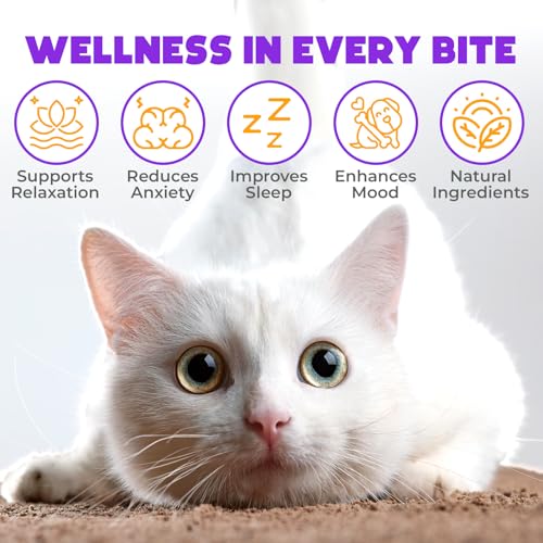 Hemp Calming Chews For Cats 200 pcs - Relaxing Chews - For stress, travel, check-up, restlessness or separation - Cat Calming Treats - Image 3