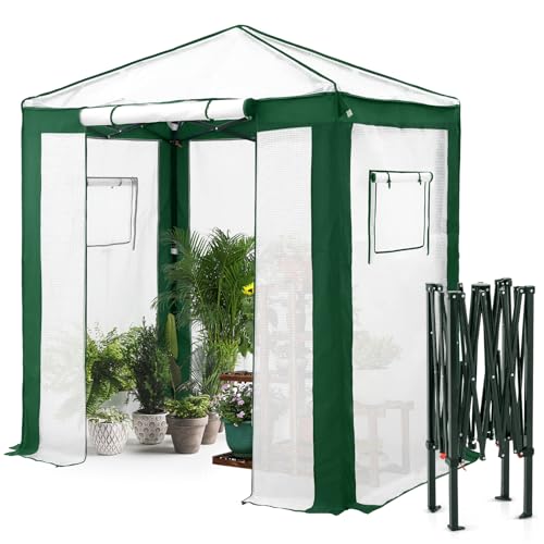 Image of EAGLE PEAK 6x4 Walk in Pop Up Greenhouse, Green /White