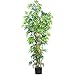 Nearly Natural 5188 Curved Bamboo Silk Tree, 6-Feet, Green