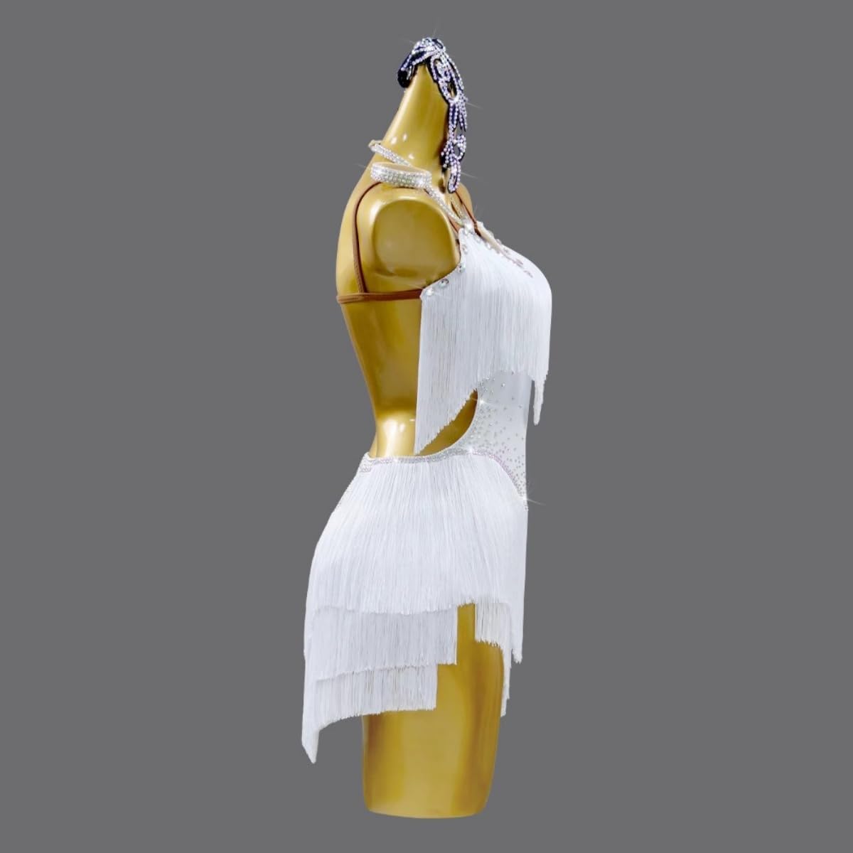 Latin Dance Dress for Women Fringe Salsa Rumba Chacha Dancewear Ballroom Competition Dresses