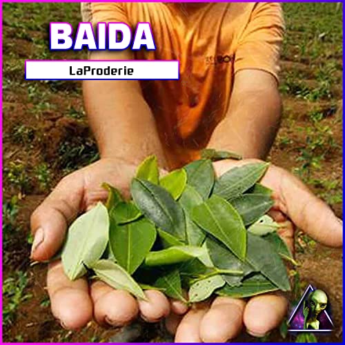 Baida