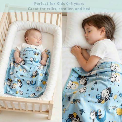 Image of Florida All Season Ultra Soft Kids AC Blanket /Baby Wrapper /Flannel Baby Blanket for 0-6 Yrs Kids(110x140cm) Pack of 2, Sky Blue Grey