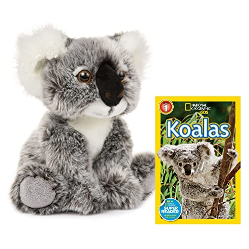 Wildlife Tree 10 Inch Plush Koala Stuffed Animal Set with National Geographic Readers Koalas Level 1 Book