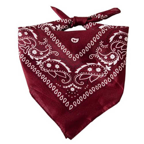 Disfraz Colonial Infantil para Niños miniatura 3