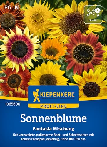 Kiepenkerl Sonnenblumensamen Fantasia Mischung F1 1065600 - Blumensamen für Beet- und Schnittsorten mit Inhalt für 20 Pflanzen - Saatgut