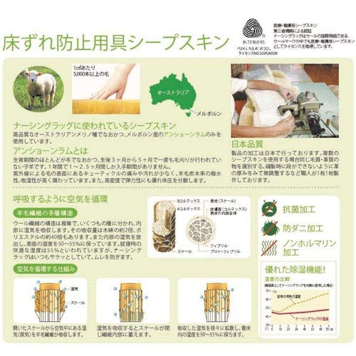 Amazon.co.jp: NR尖足防止プロテクター 2ヶ1組 : ビューティー