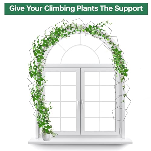 Yinjupu HEXAGON-02 20Pcs Chain Trellis For Climbing Plants Indoor, Metal Hexagonal Wall Plant Support Accessories For Vine Growth, Ivy, Pothos Live Plant Climber thumb #1