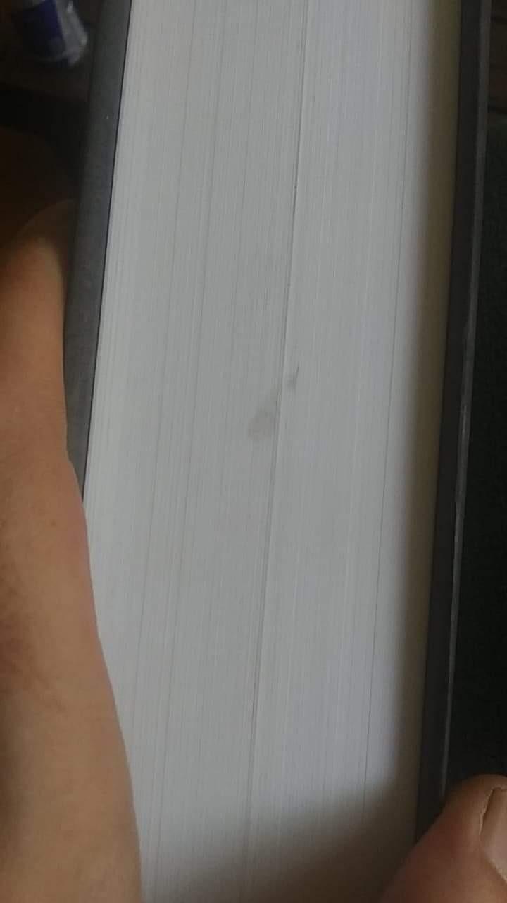 Two ripped pages and a smudge on an expensive book.