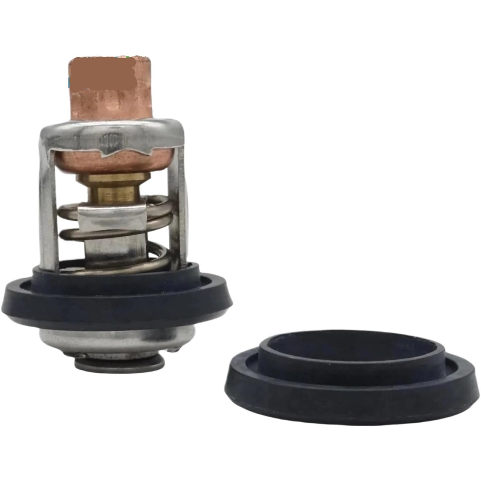 Termostato fuoribordo for M//E//R//C//U//R//Y Mariner