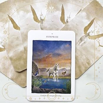 Amazon.co.jp: 品海外美麗デッキユニコーン ペガサス オラクル