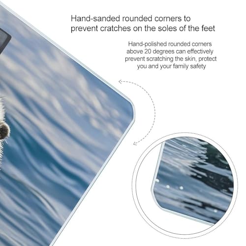 Báscula digital de baño Sea Otter con vidrio templado miniatura 4