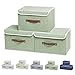 Cajas de Almacenamiento con Tapas, Cajas de almacenaje, Set de 3 Organizadores Plegable, Organizadores de Juguetes, Organizadores de Contenedore para Ropa Juguetes Libros (Verde claro)