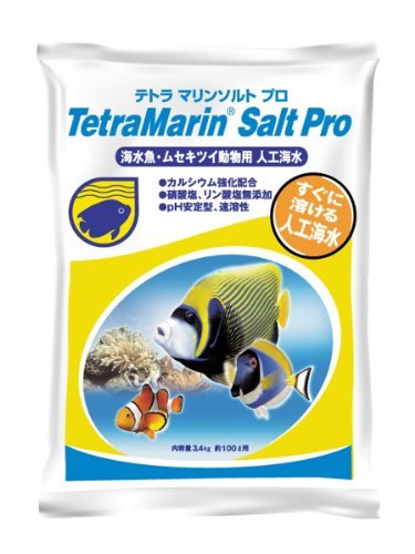 小型水槽で海水魚を飼ってみよう おすすめ商品と飼いやすい魚を紹介 トロピカ